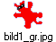 bild1_gr.jpg