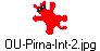 OU-Pirna-Int-2.jpg