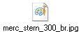 merc_stern_300_br.jpg