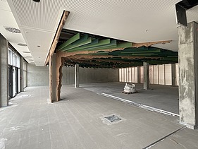 Foto des Innenausbaus einer Gewerbehalle. Man sieht geschwungene Holzträger.