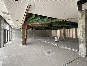 Foto des Innenausbaus einer Gewerbehalle. Man sieht geschwungene Holzträger.