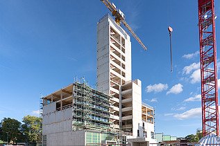 Foto der Montage des UmweltHauses in Nürnberg. Man sieht einen Rohbau aus Holz.