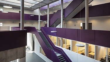 Interior design of the school building with striking purple staircase and open learning areas