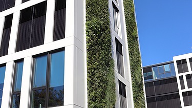 Das Innovation Center in Stuttgart, Sicht auf die begrünte Fassade