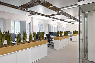 Foto eines Büroraumes mit vielen Pflanzkästen.