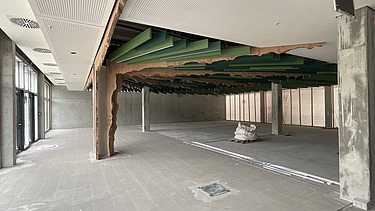 Foto des Innenausbaus einer Gewerbehalle. Man sieht geschwungene Holzträger.