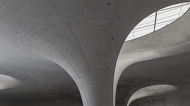 Detailaufnahme eines Lichtauges und dem Kelch