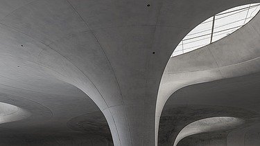 Close-up of a light eye and the chalice