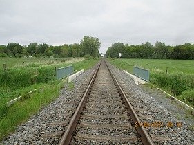 Railway track surounded by grass
