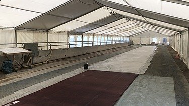 Photo of a tent from the inside 