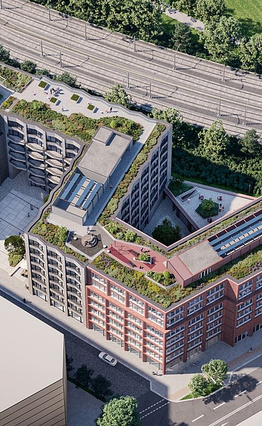 3D Visualisierung BORX