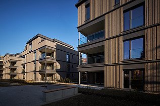 Drei Stadtvillen in der Schillerstr. 52 mit dem Hauptmerkmal Holz