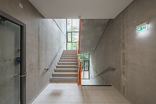 Picture of a staircase in a school