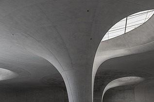 Detailaufnahme eines Lichtauges und dem Kelch