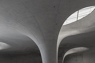 Detailaufnahme eines Lichtauges und dem Kelch