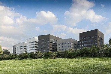 Visualisierung von fünf Bürogebäude-Blöcken