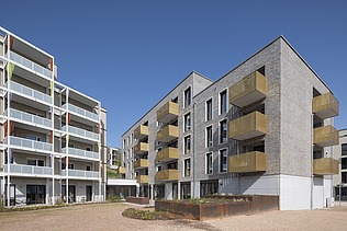 Foto Neubau Wohnanlage Safranberg in Ulm