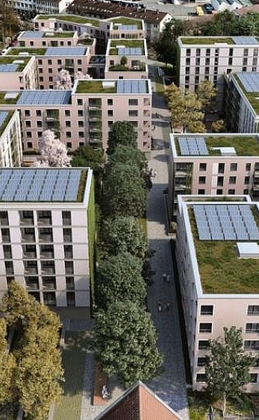 Picture shows several blocks of flats surrounded by trees