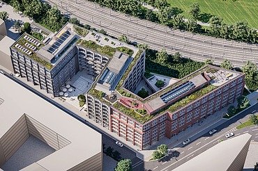 3D Visualisierung BORX