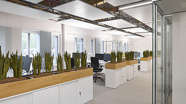 Foto eines Büroraumes mit vielen Pflanzkästen.