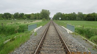 Railway track surounded by grass